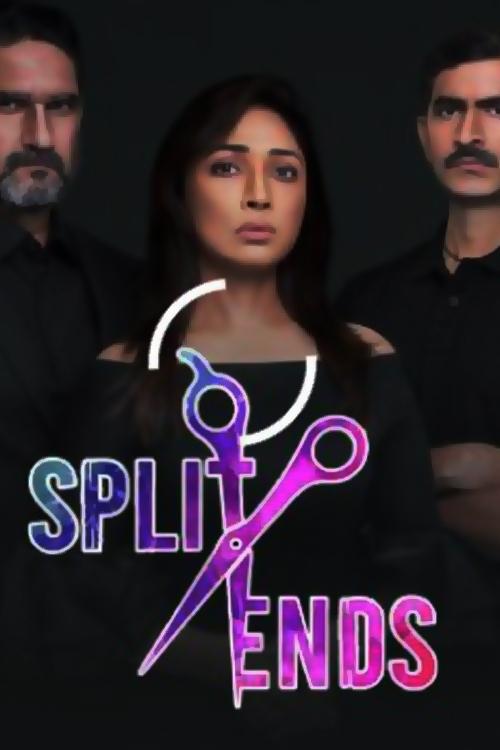 Poster de Split Ends