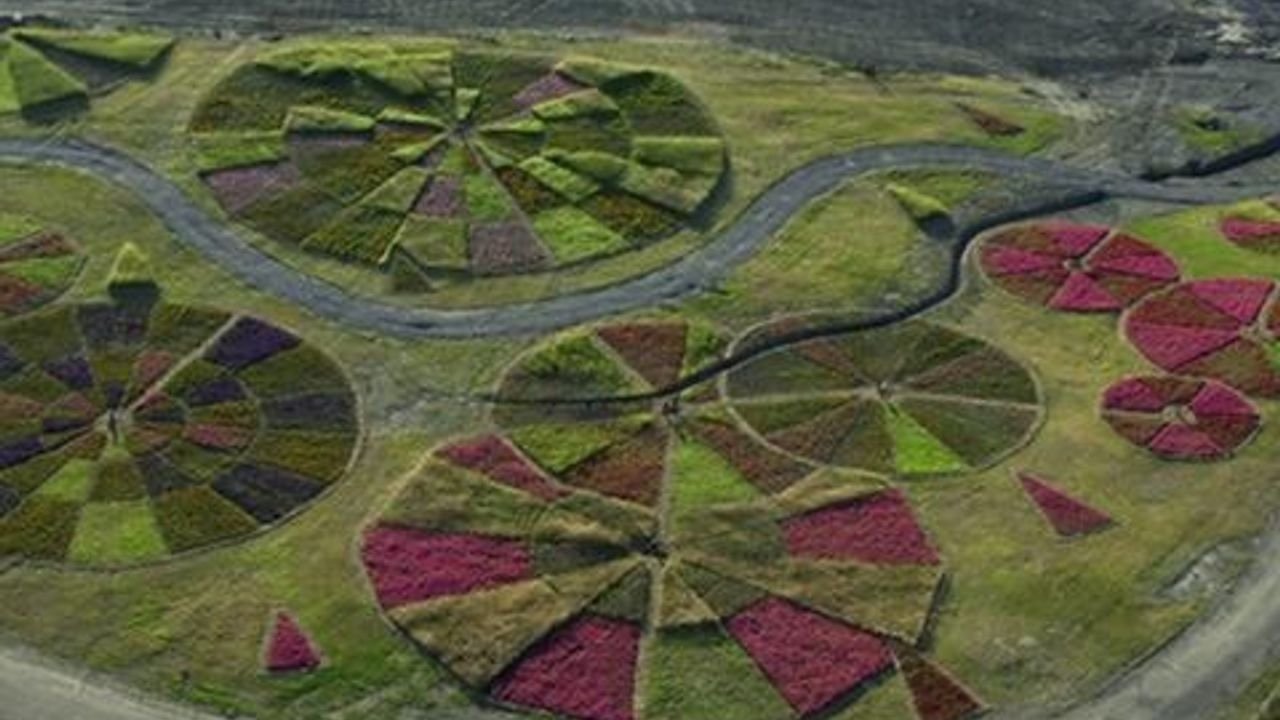 A Margem da Paisagem