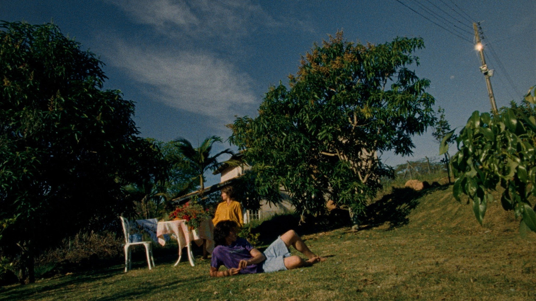 Director