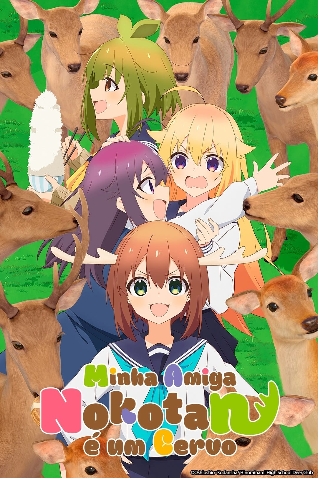 Poster de Minha Amiga Nokotan é um Cervo