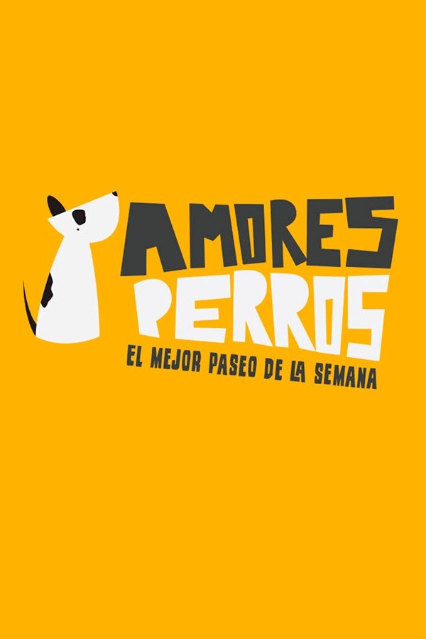 Poster de Amores perros