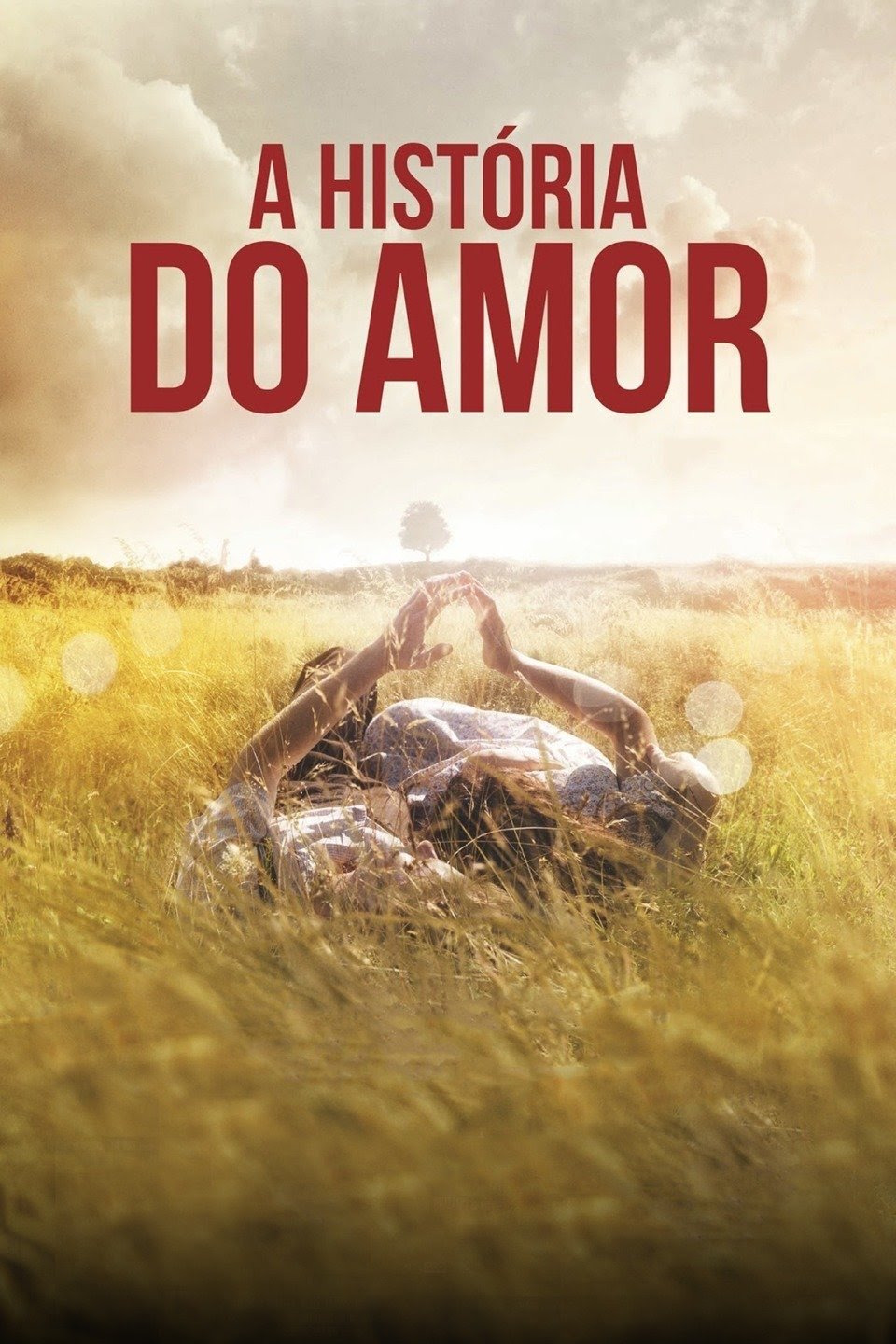 Poster de A História do Amor