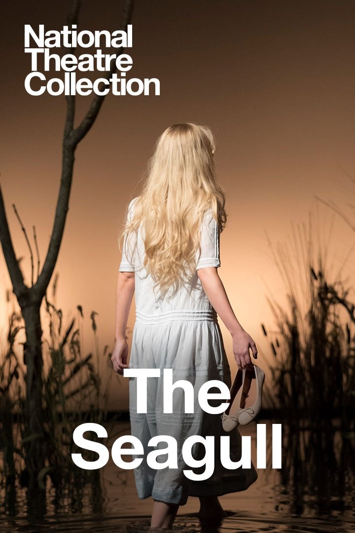 Affiche du film National Theatre Live: The Seagull