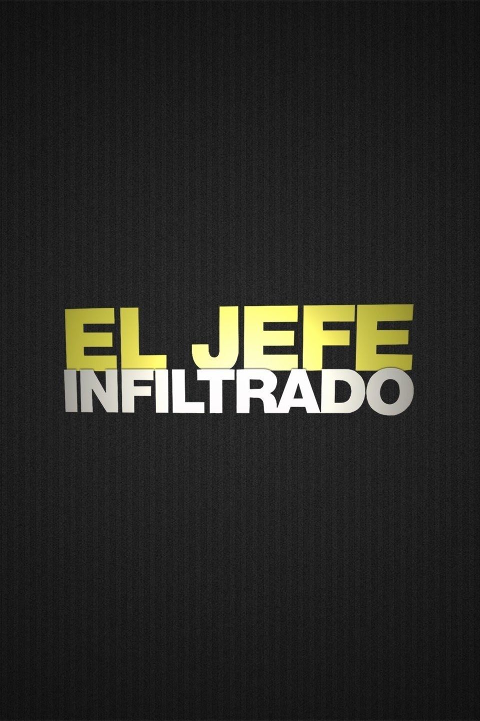 Poster de El jefe infiltrado