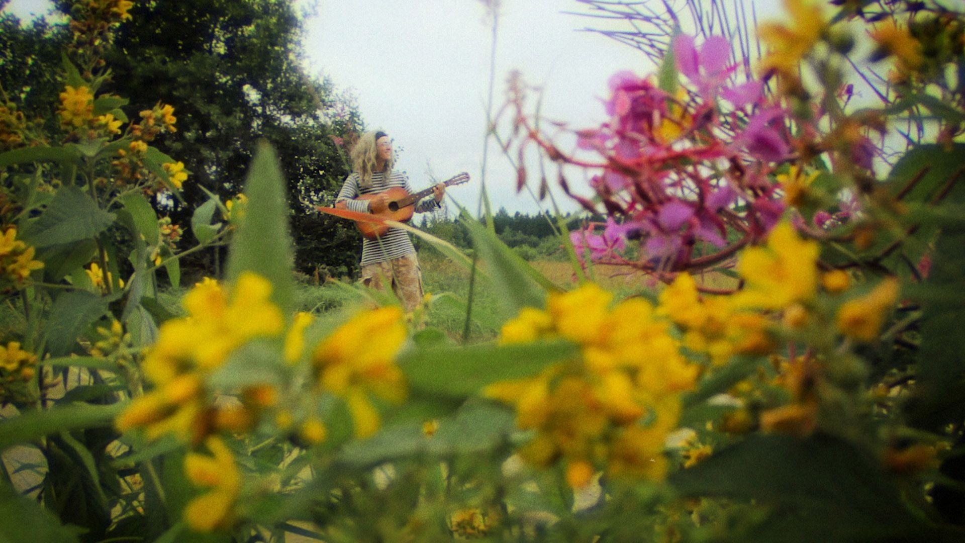 backdrops