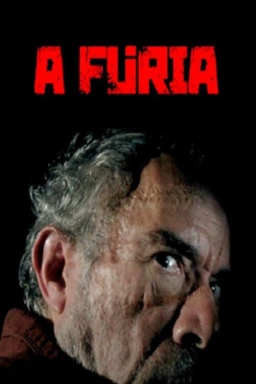 Poster de A Fúria