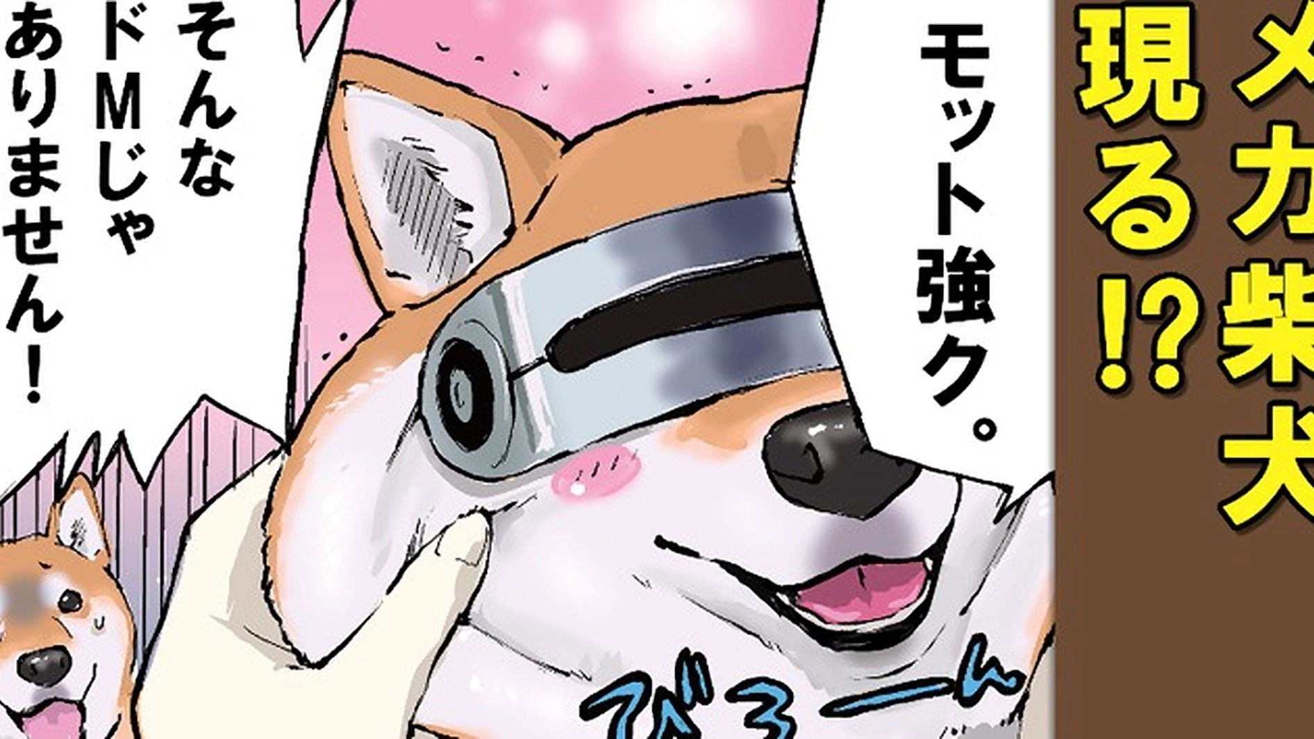 Summer Vacation / Dog in the Soft Shell / Apartment Dwellers