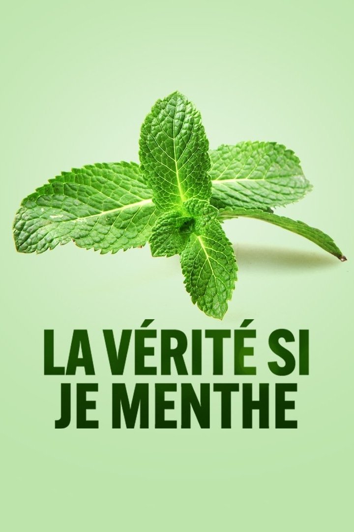 Poster de La vérité si je menthe