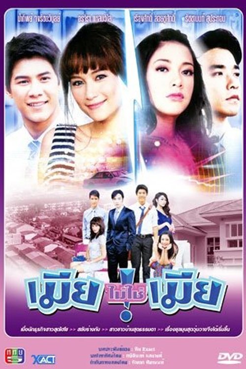 Poster de เมียไม่ใช่เมืย