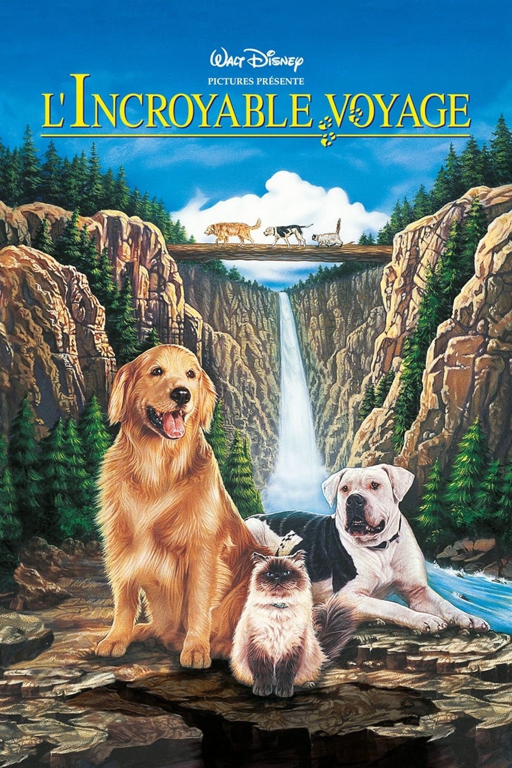 Affiche du film Homeward Bound: The Incredible Journey