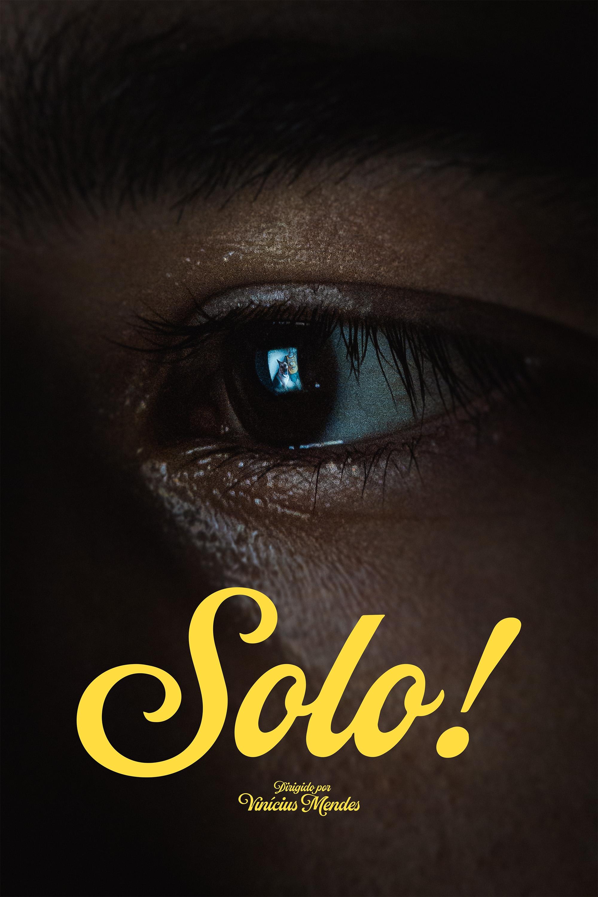 Poster de Solo!