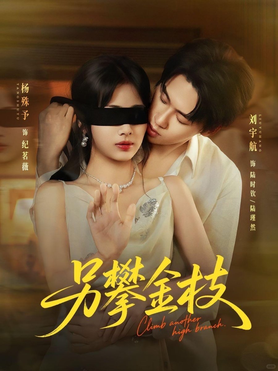 Poster de 另攀金枝