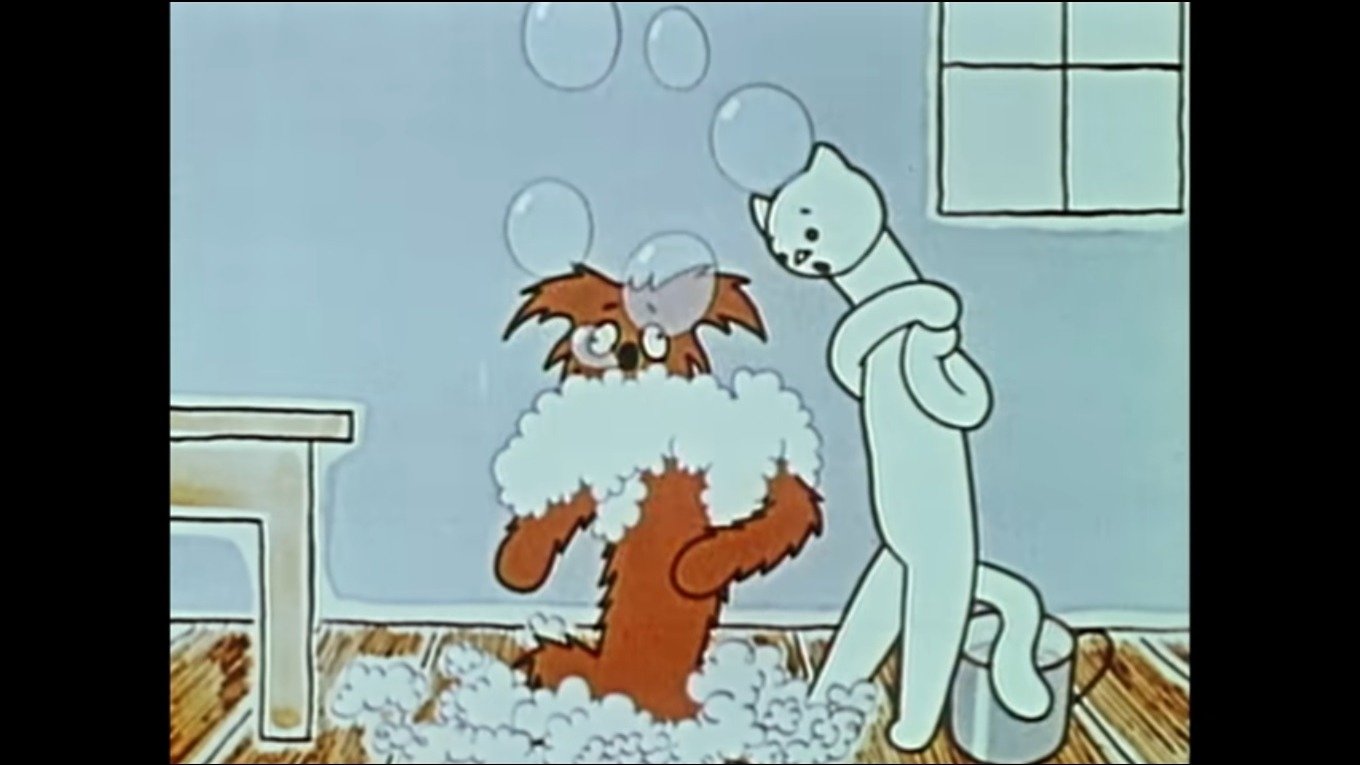 How a Dog And a Cat Washed The Floor