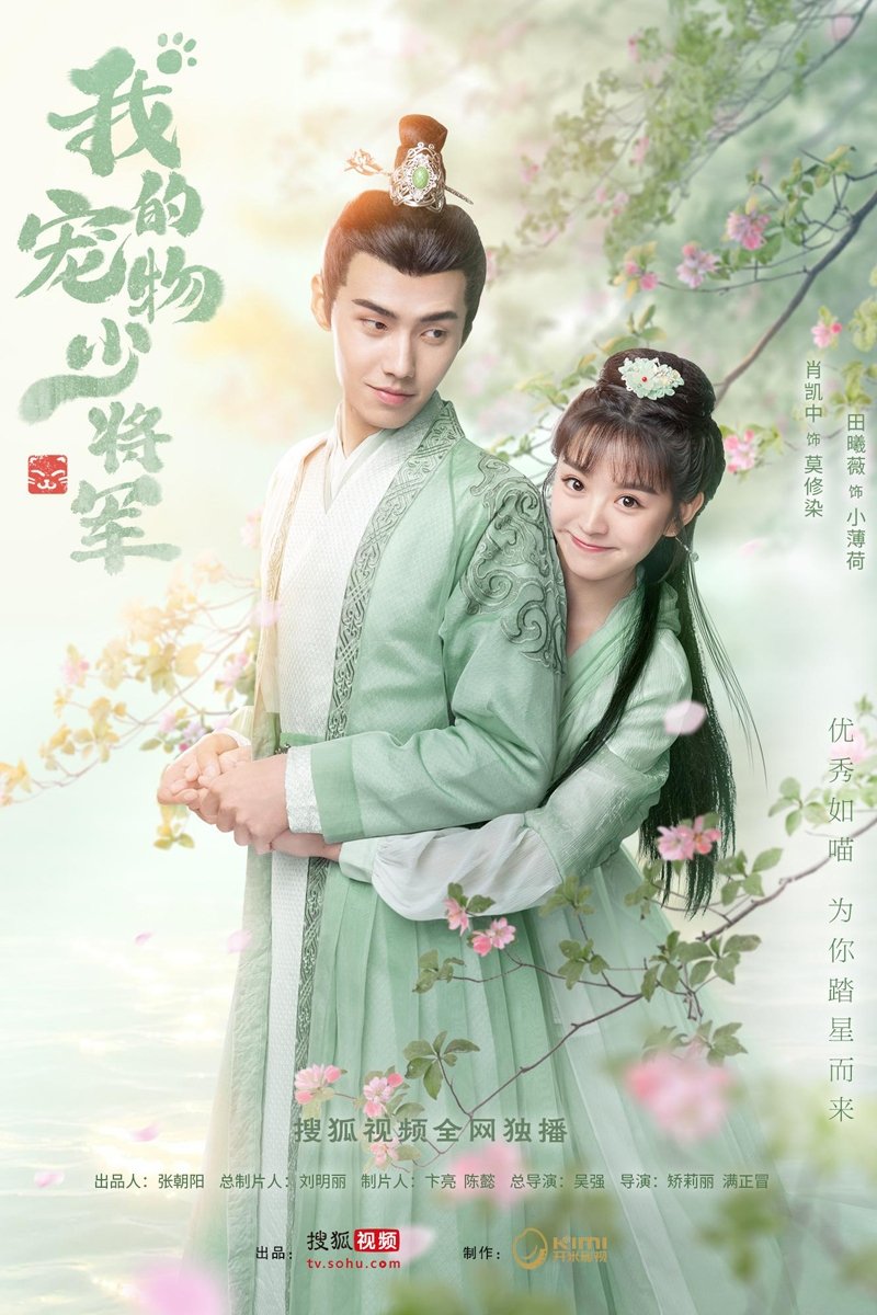 Poster de 我的宠物少将军