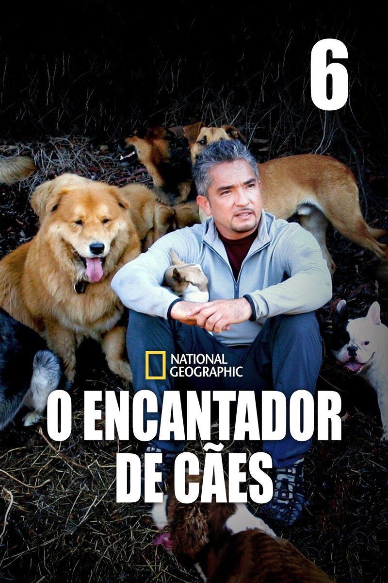 Poster de Temporada 6