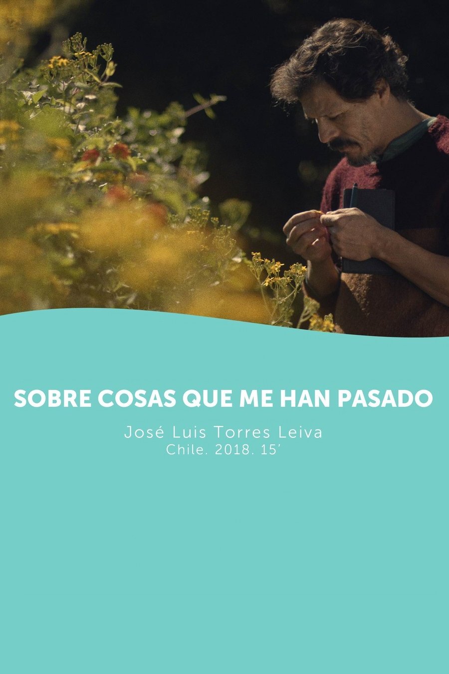 Poster de Sobre cosas que me han pasado