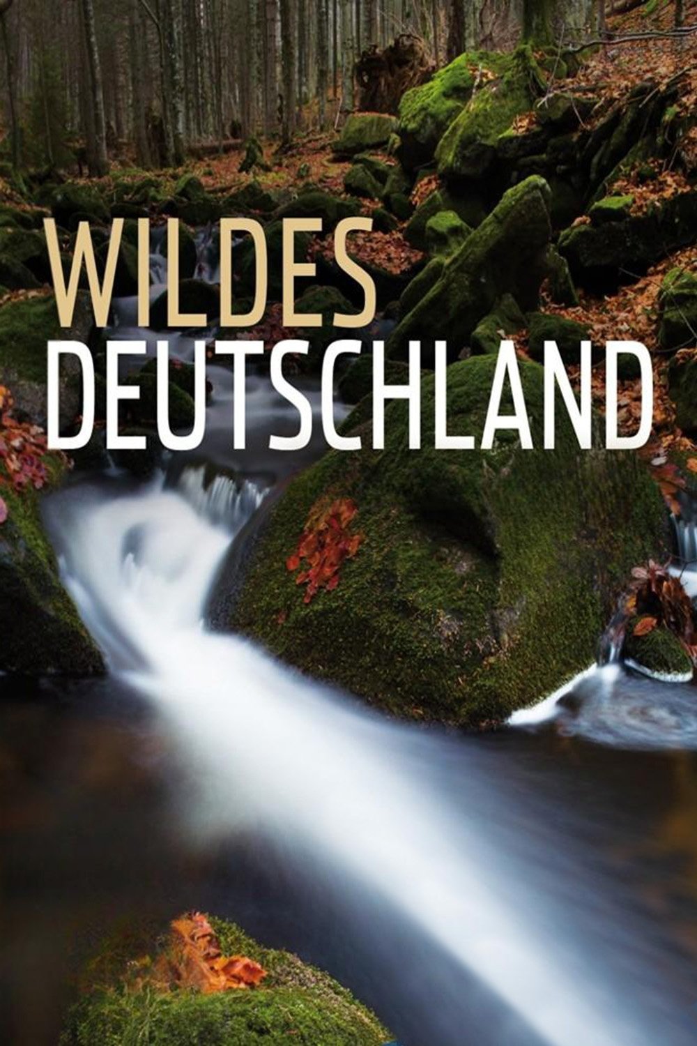 Poster de Wildes Deutschland