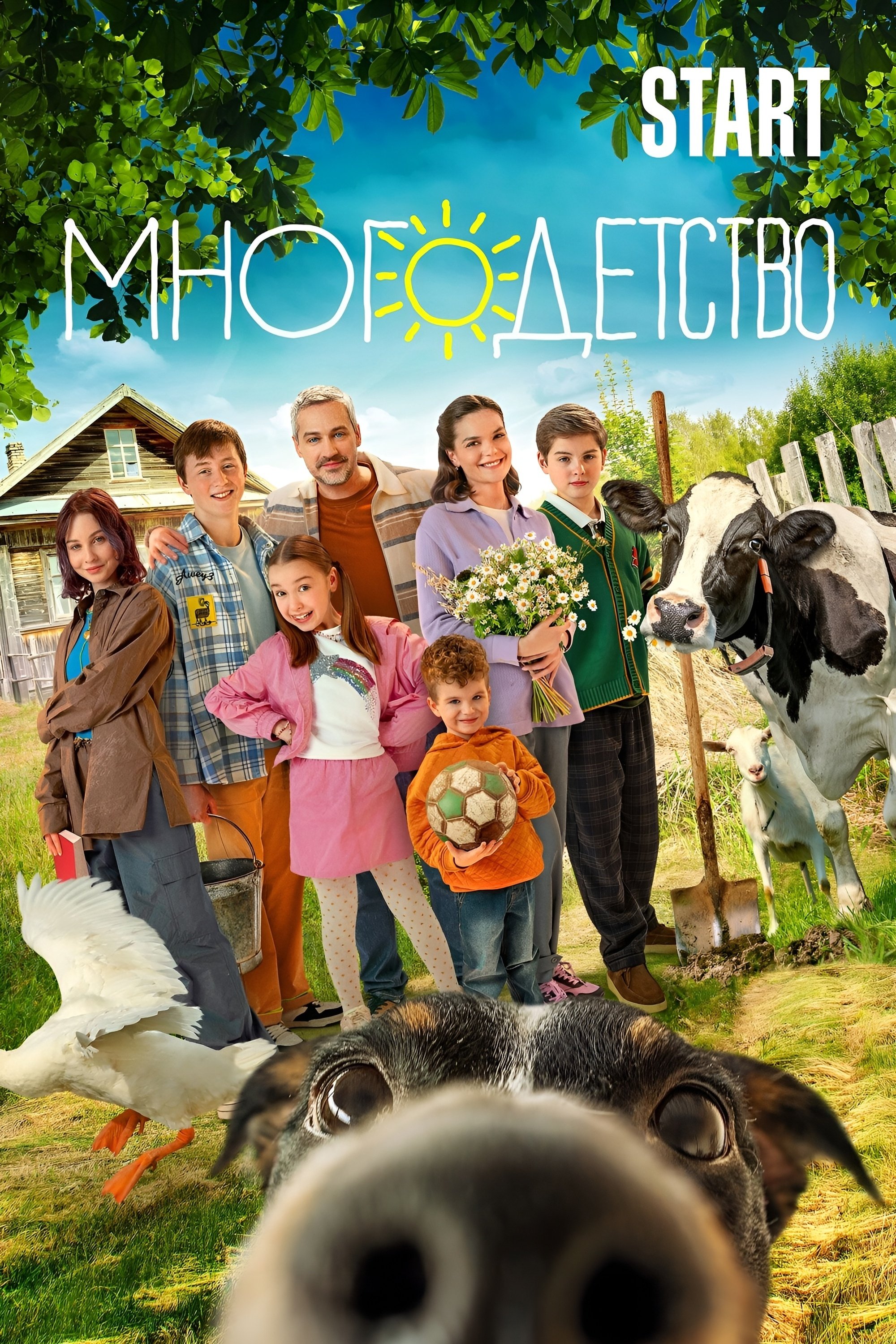 Poster de Многодетство