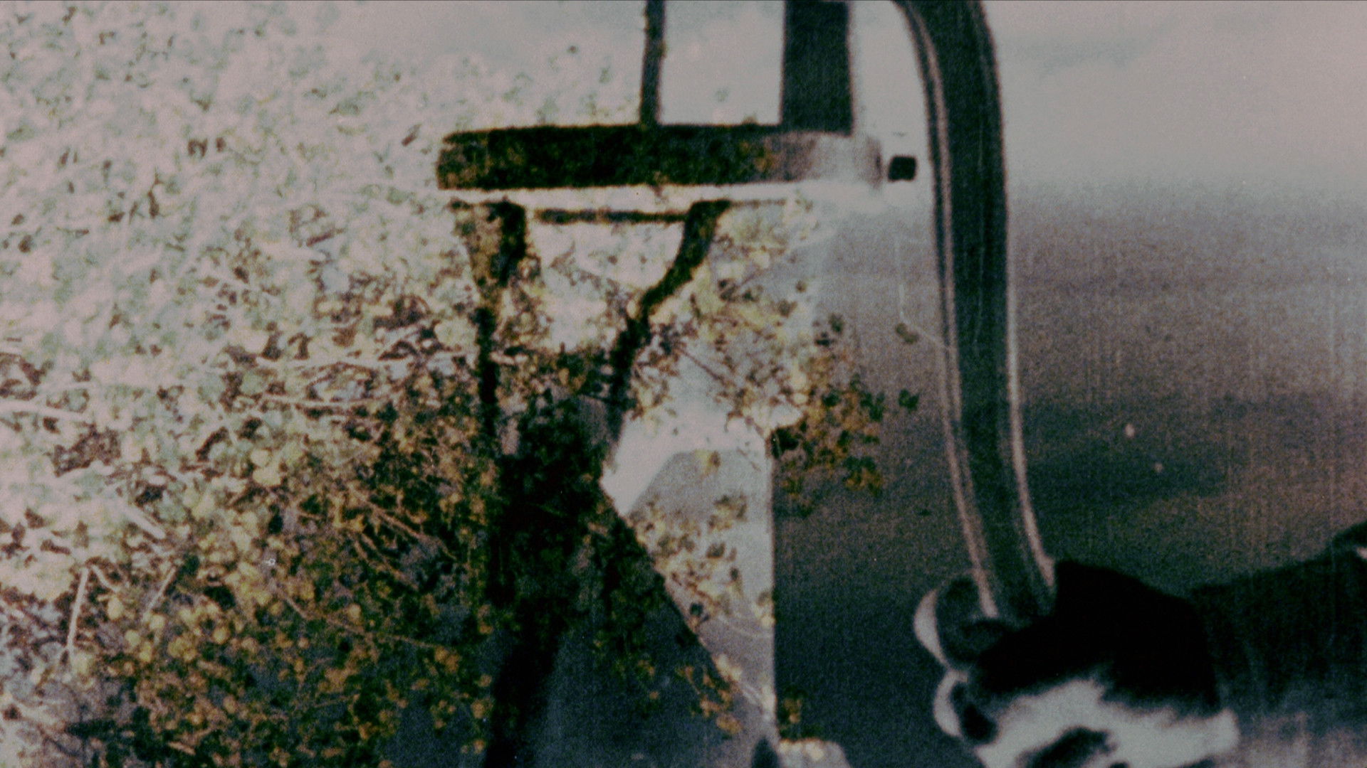 Let's Make a Sandwich