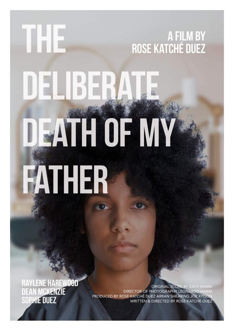 Affiche du film The Deliberate Death of My Father