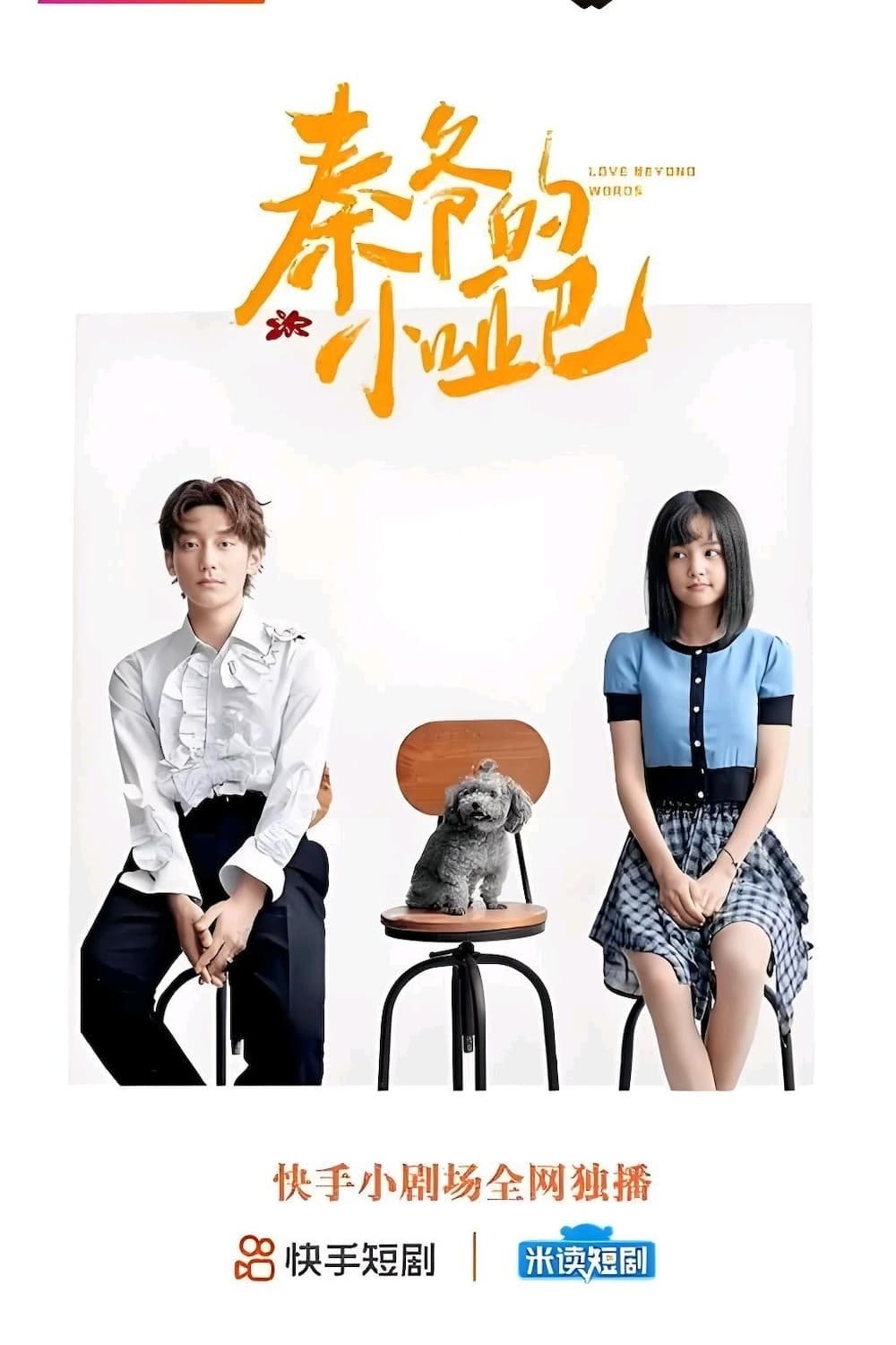 Poster de Temporada 1