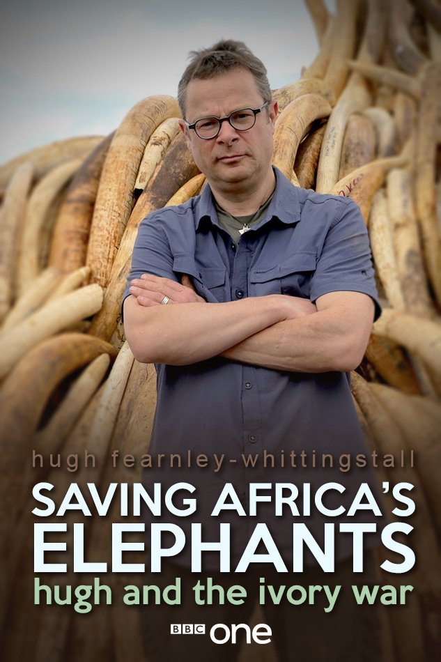 Poster de Saving Africa's Elephants: Hugh and the Ivory War