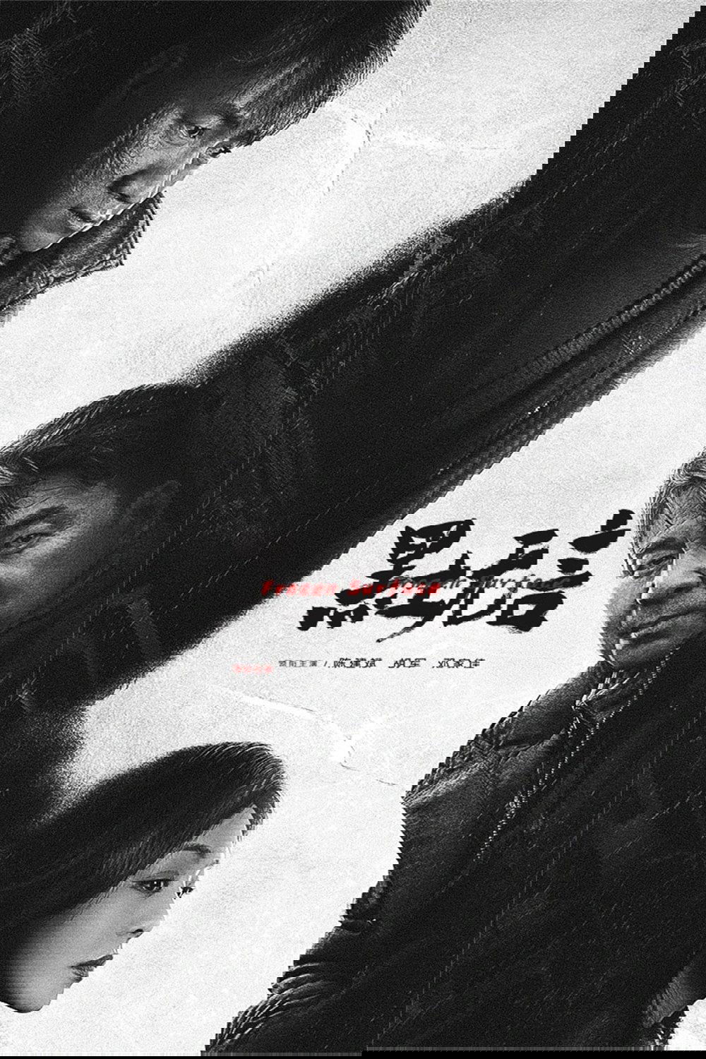Poster de Frozen Surface