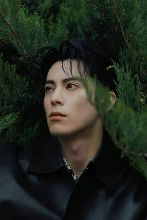 Foto de 王鹤棣