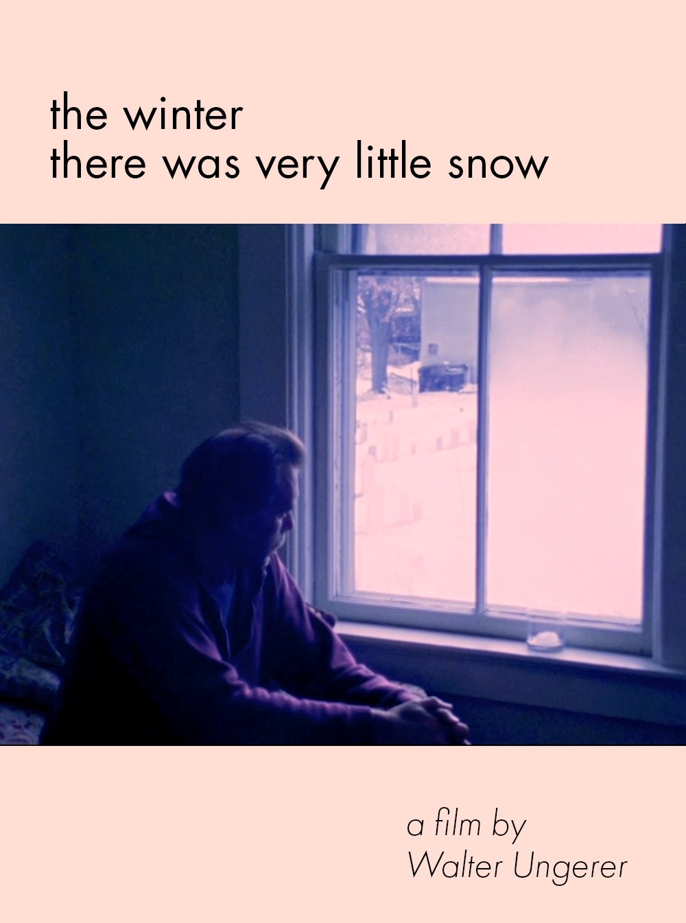 Poster de The Winter There Was Very Little Snow