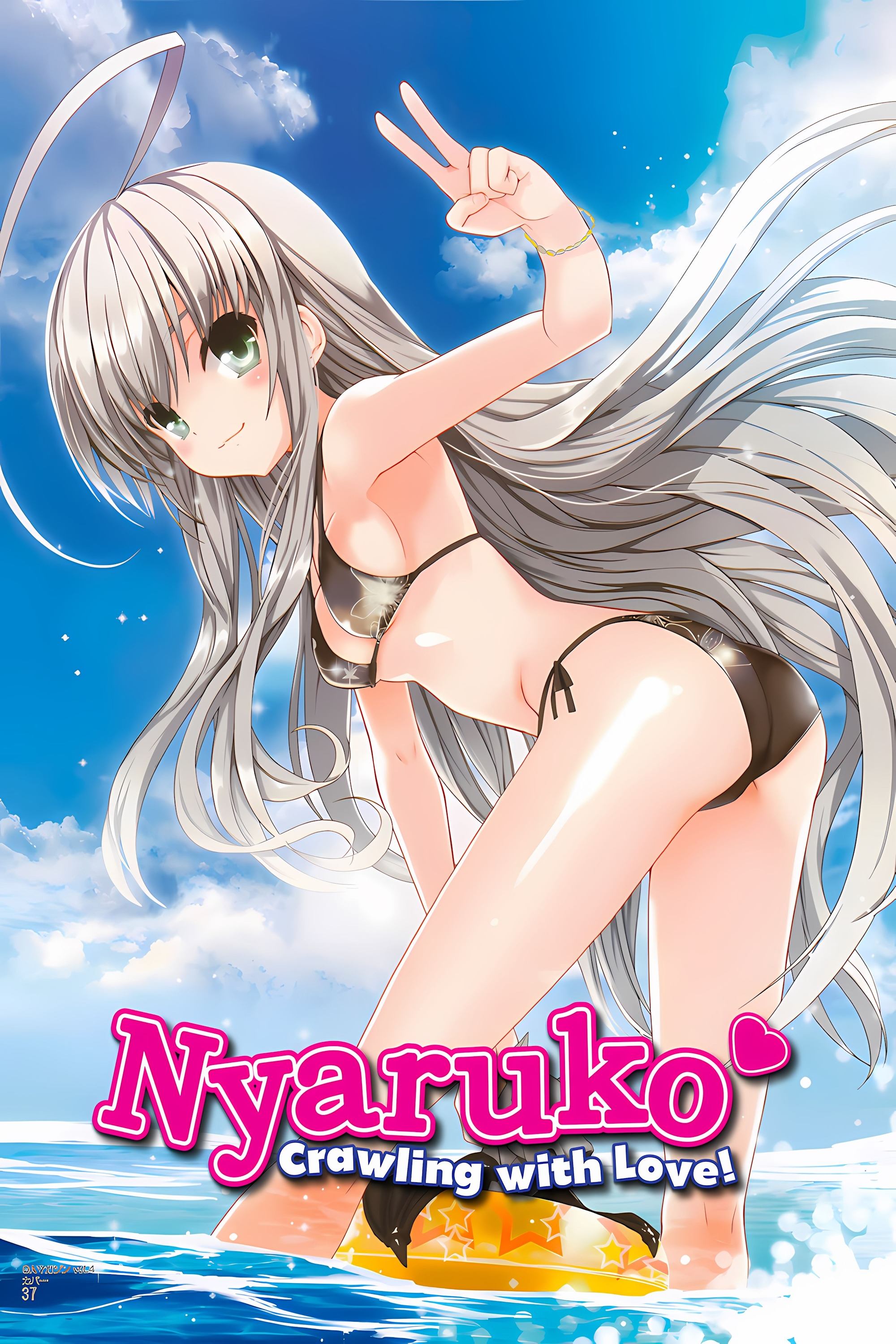 Poster de Especiais