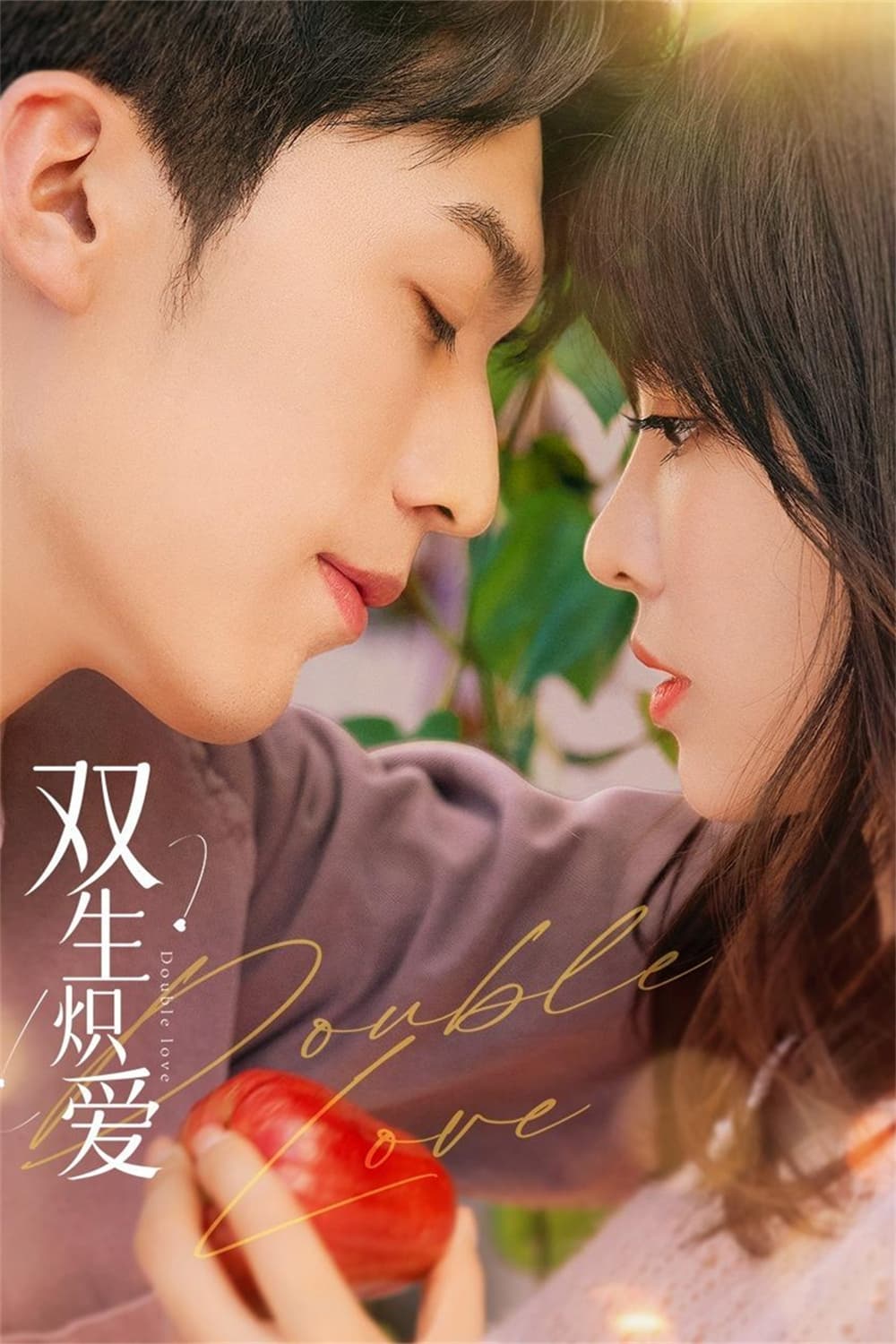 Poster de 双生炽爱