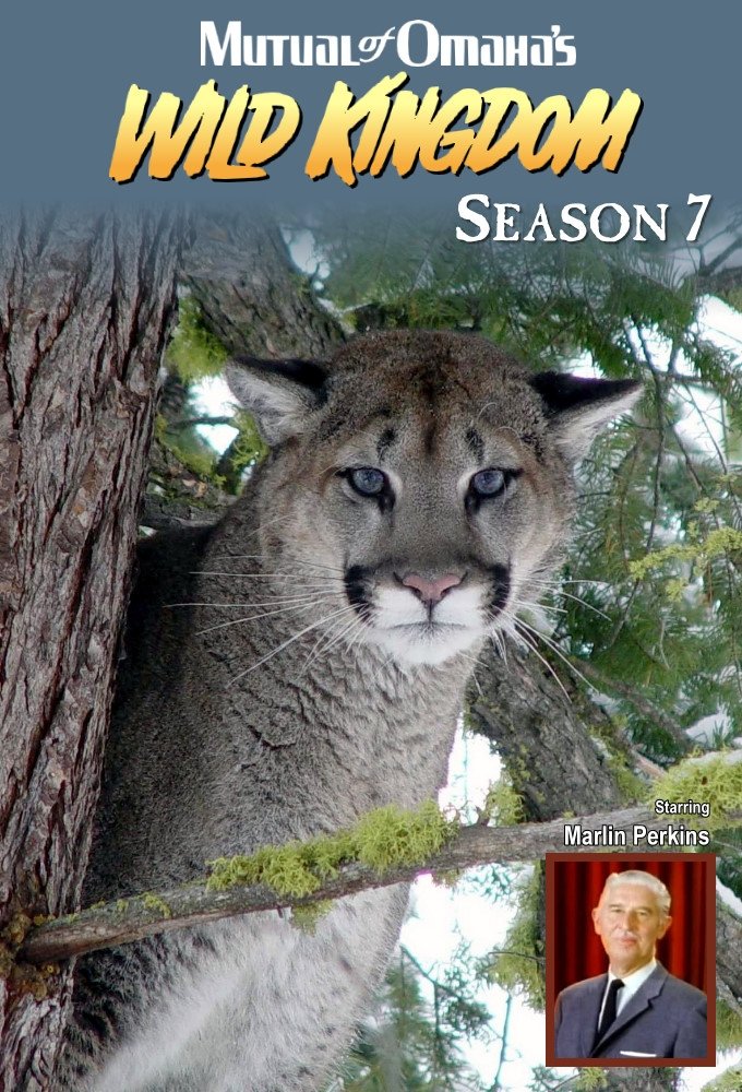 Poster de Temporada 7