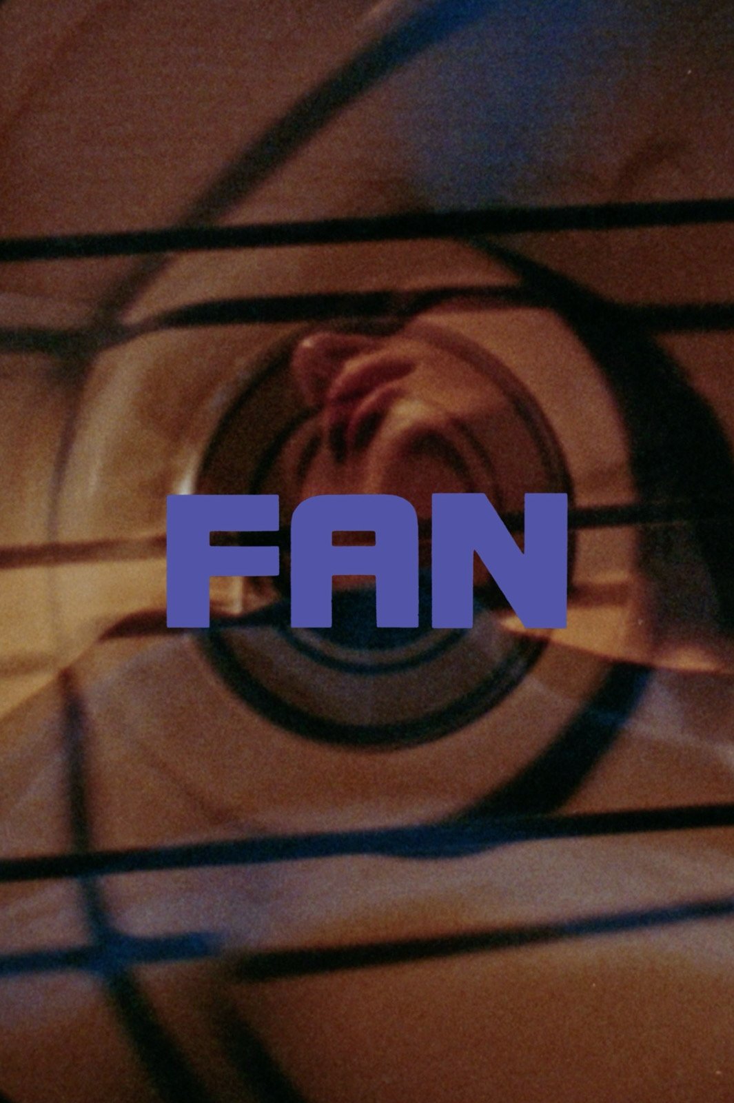 Poster de FAN