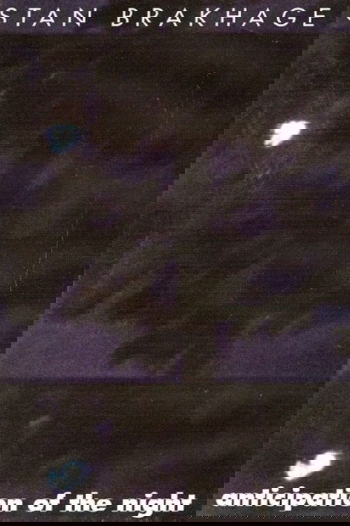 Poster de Anticipation of the Night