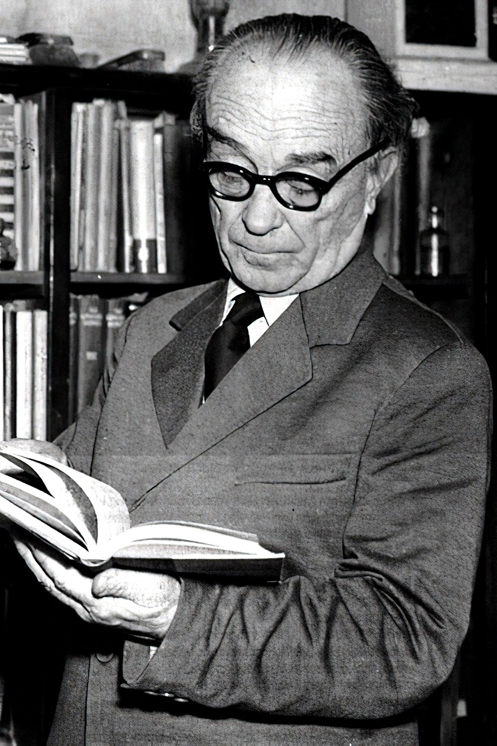 Foto de Dr. Öveges József