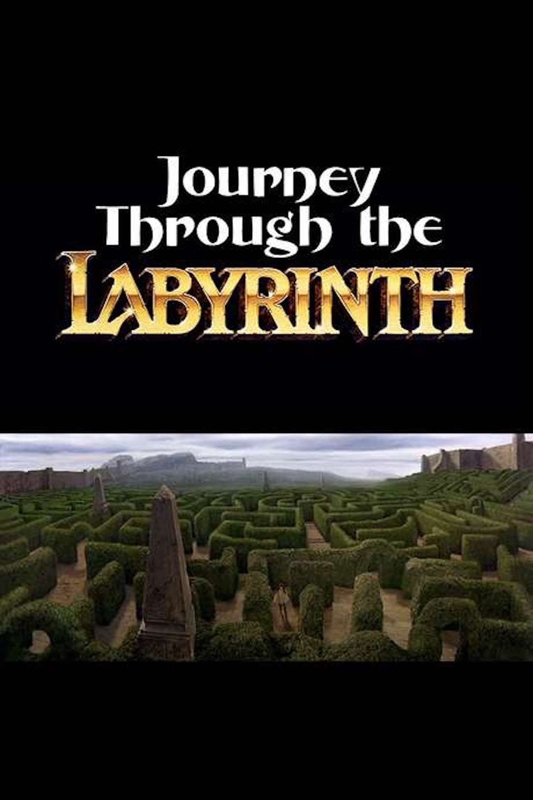 Affiche du film Journey Through the Labyrinth