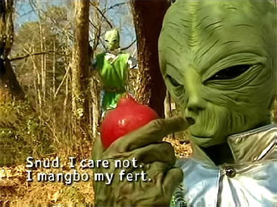 Fruit 10 from Outer Space (Pomegranates)