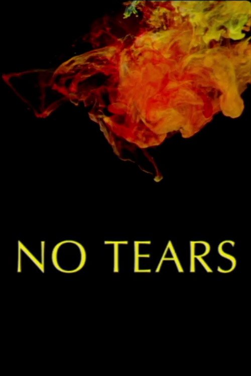Poster de No Tears