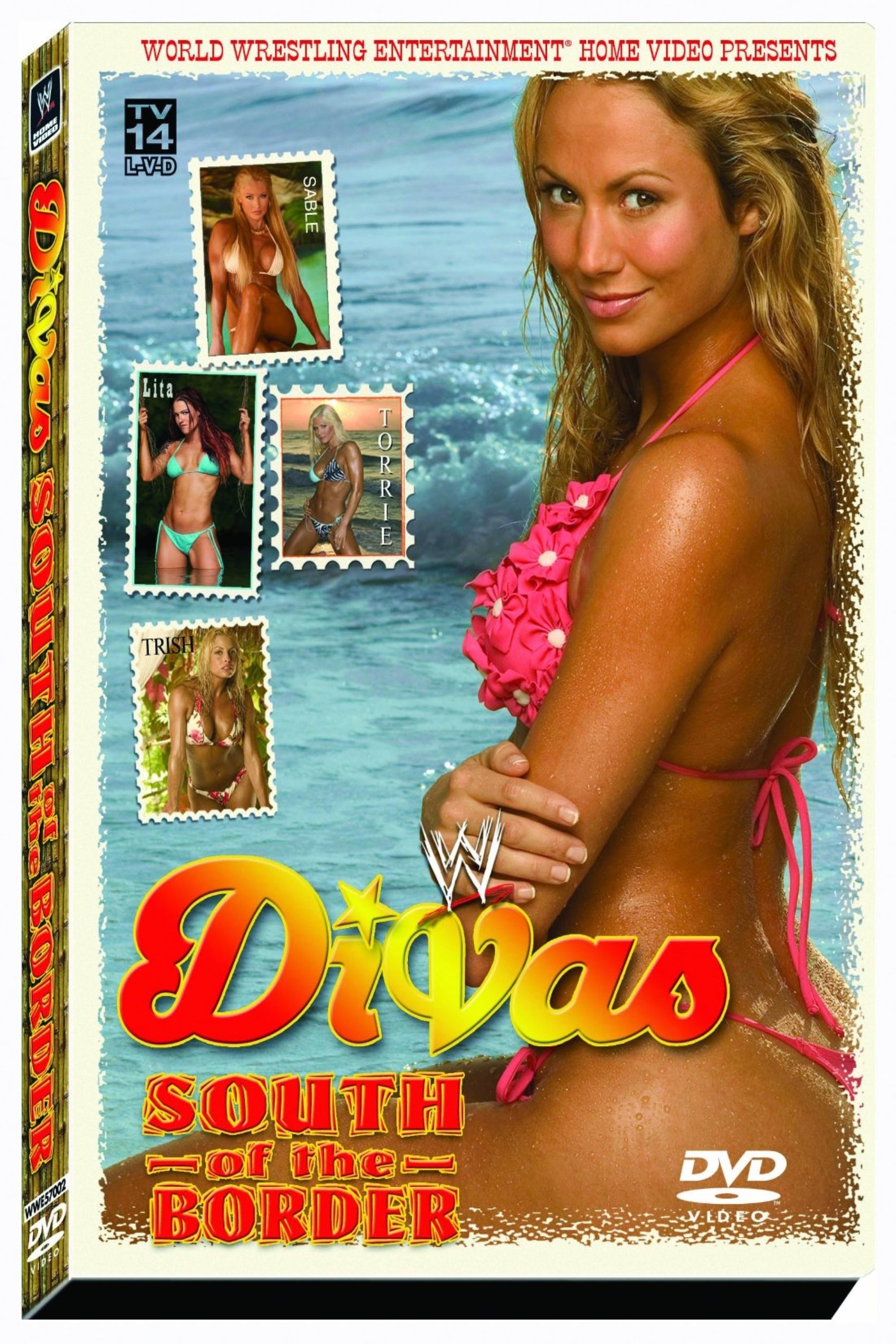Affiche du film WWE Divas: South Of The Border