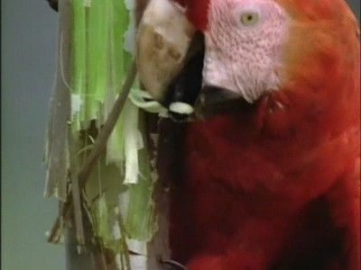 The Insatiable Appetite