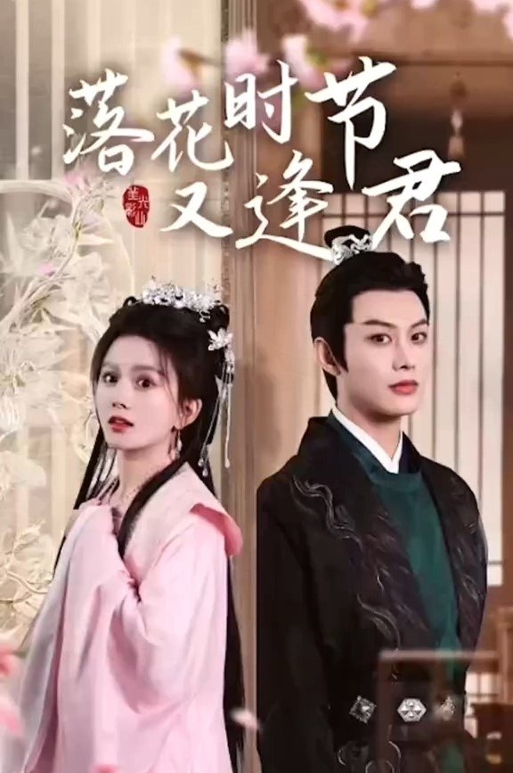 Poster de 落花时节又逢君