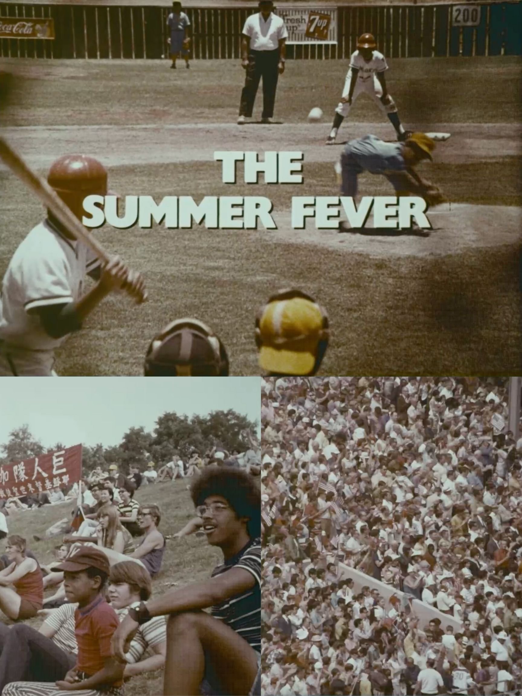 Poster de The Summer Fever