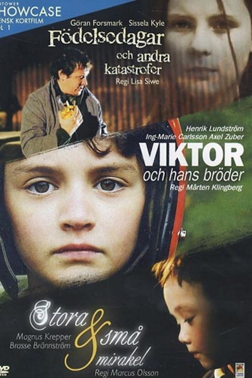Poster de Födelsedagar och andra katastrofer