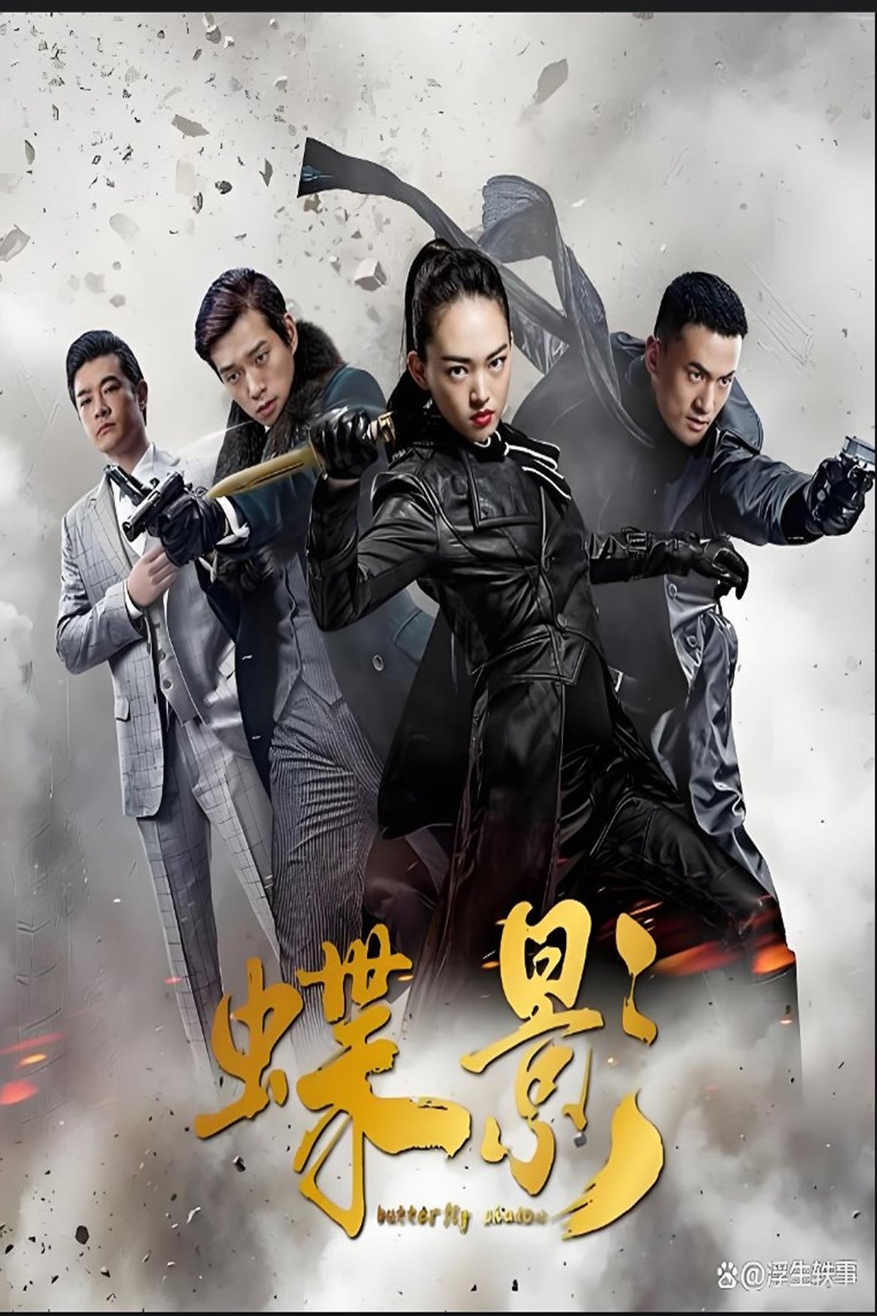 Poster de 谍影