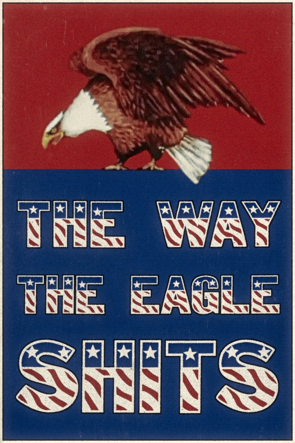 Poster de The Way the Eagle Shits