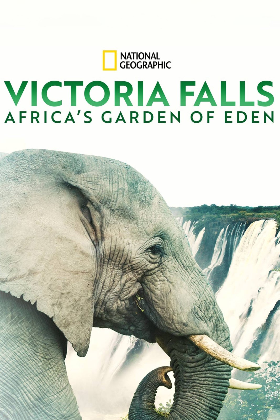 Poster de Cataratas de Vitória: Jardim do Éden da África