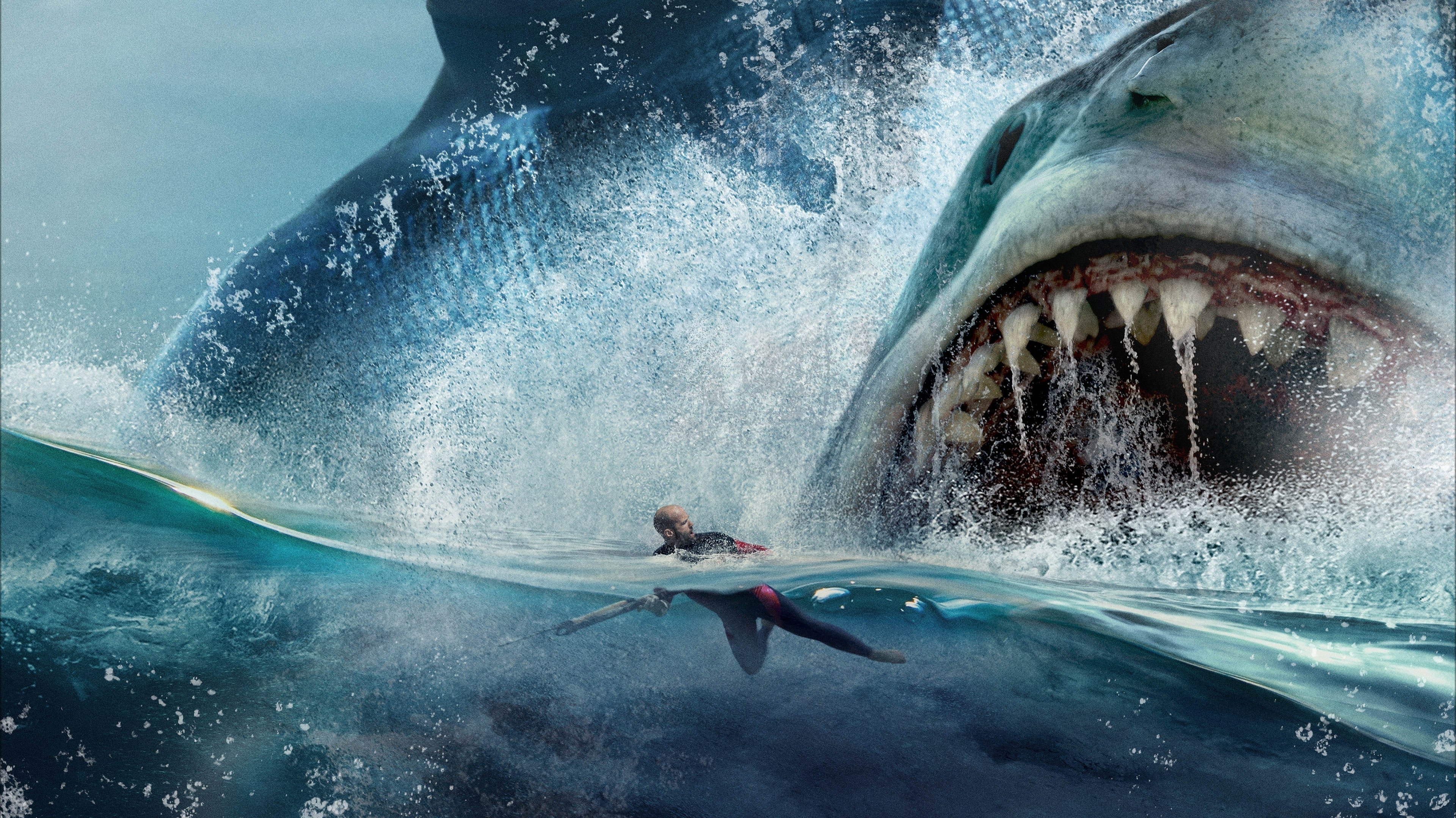 The Meg Collection