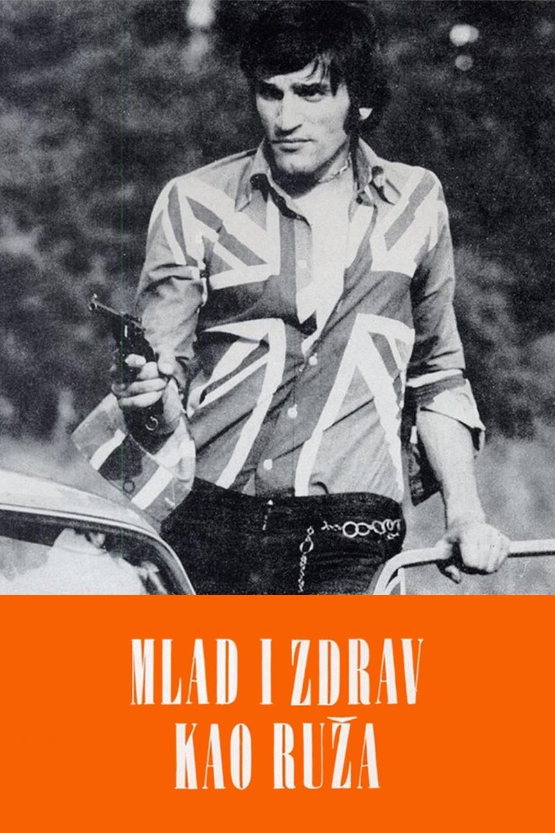 Poster de Mlad i zdrav kao ruža