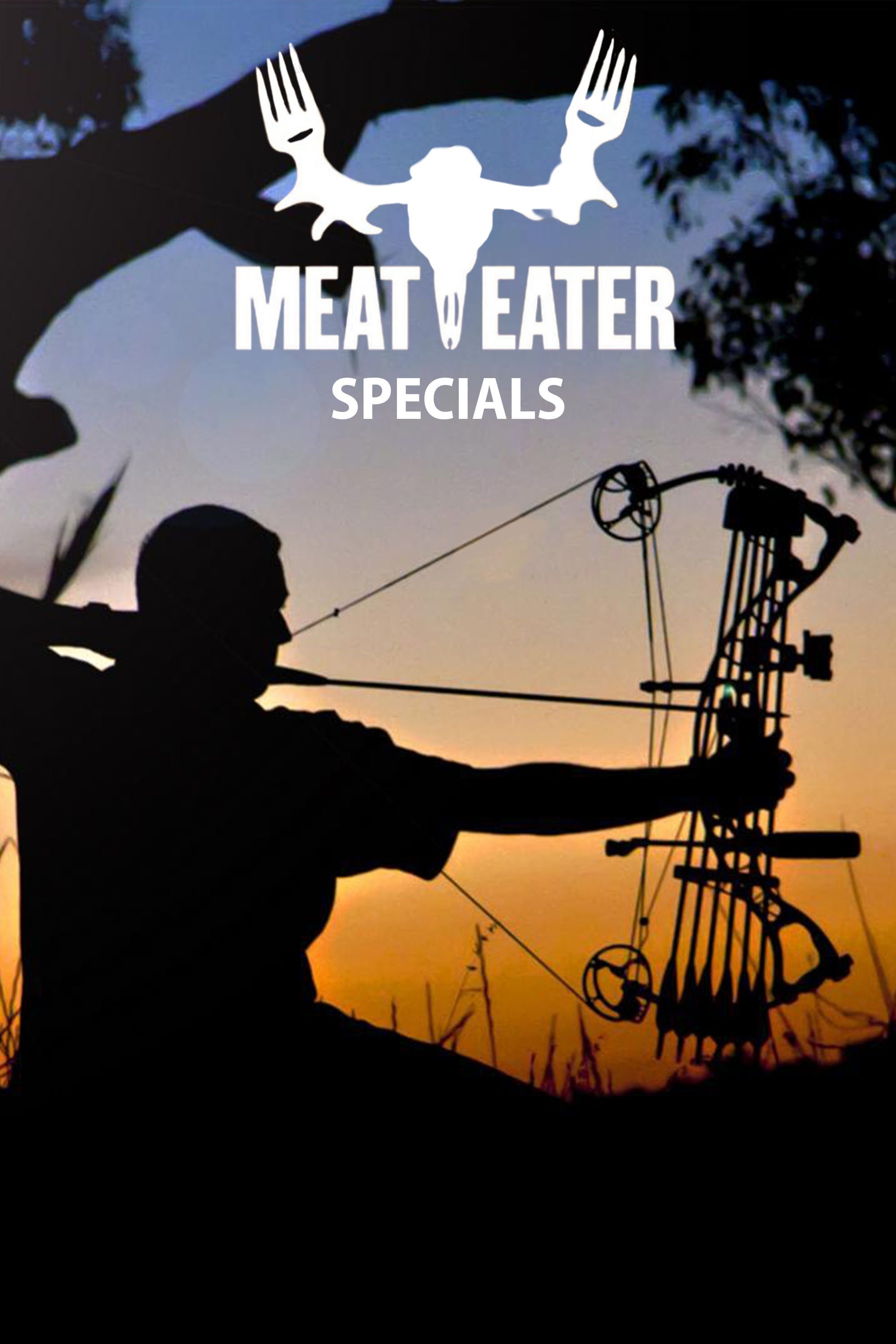 Poster de Especiais
