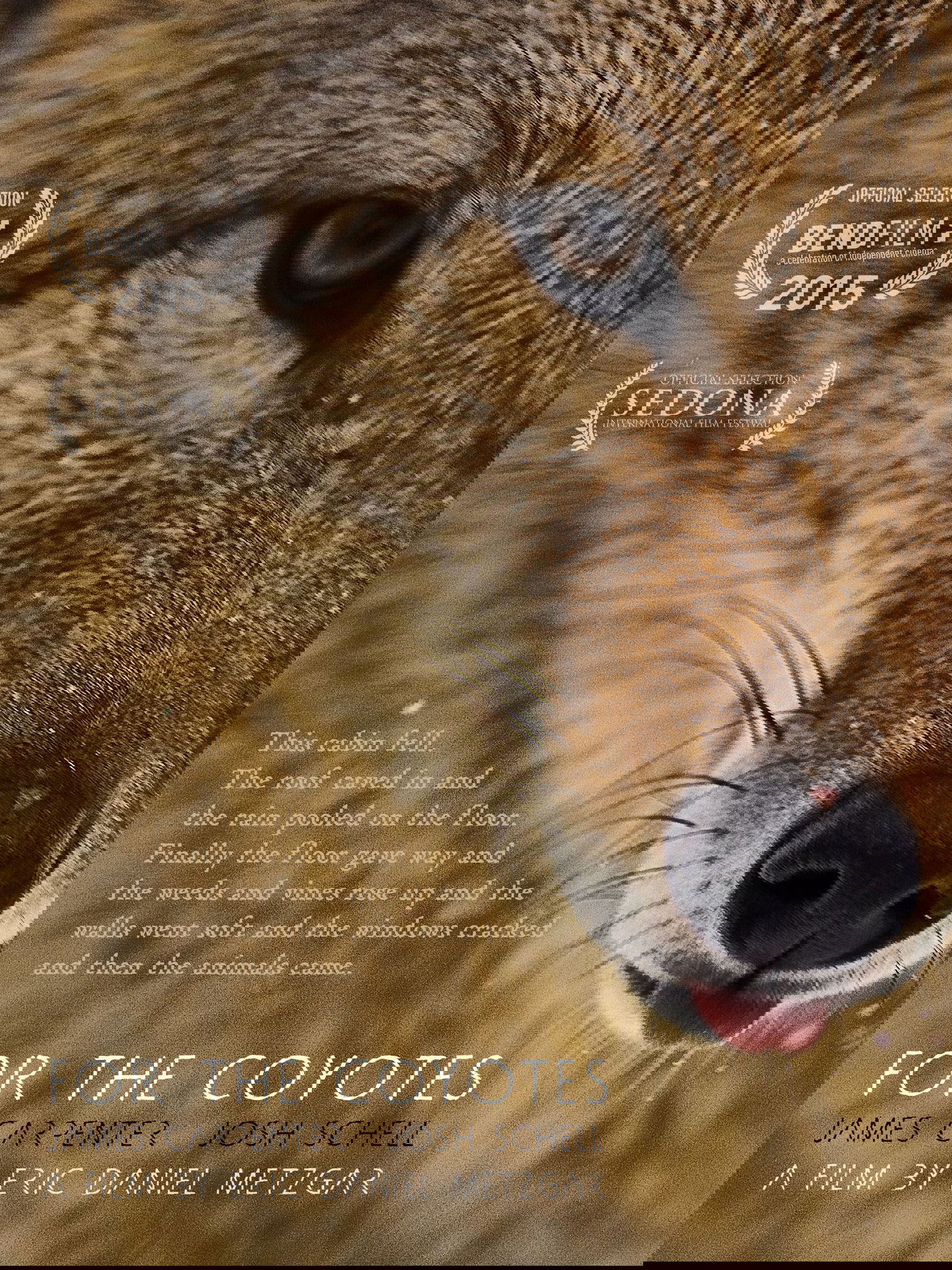 Poster de For the Coyotes